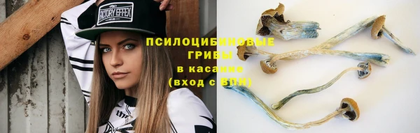 трава Краснослободск