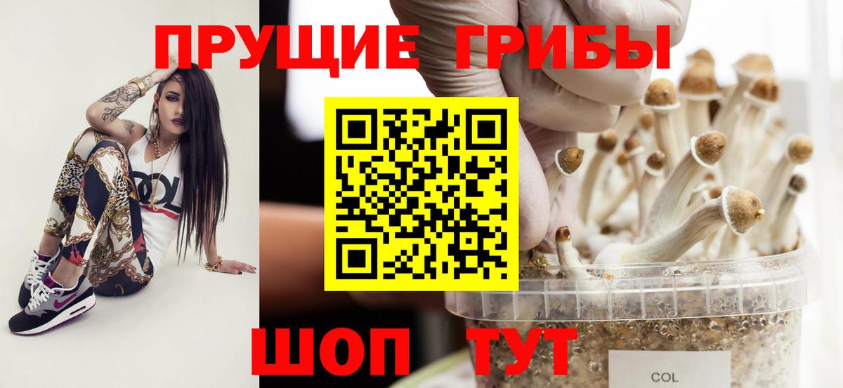 Псилоцибиновые грибы мицелий  как найти закладки  Камень-на-Оби  Вход с VPN 