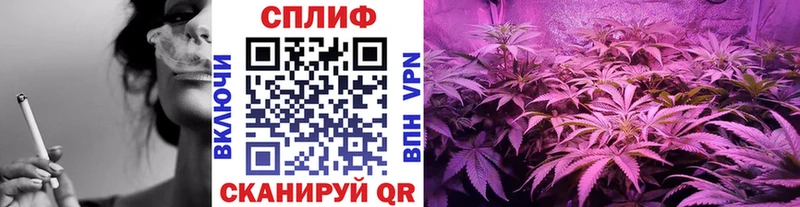 Конопля ГИДРОПОН  Камень-на-Оби 